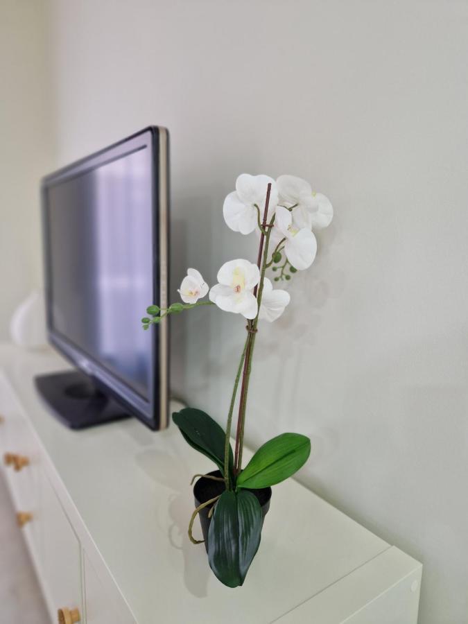 Apartamento V27 바에자 외부 사진