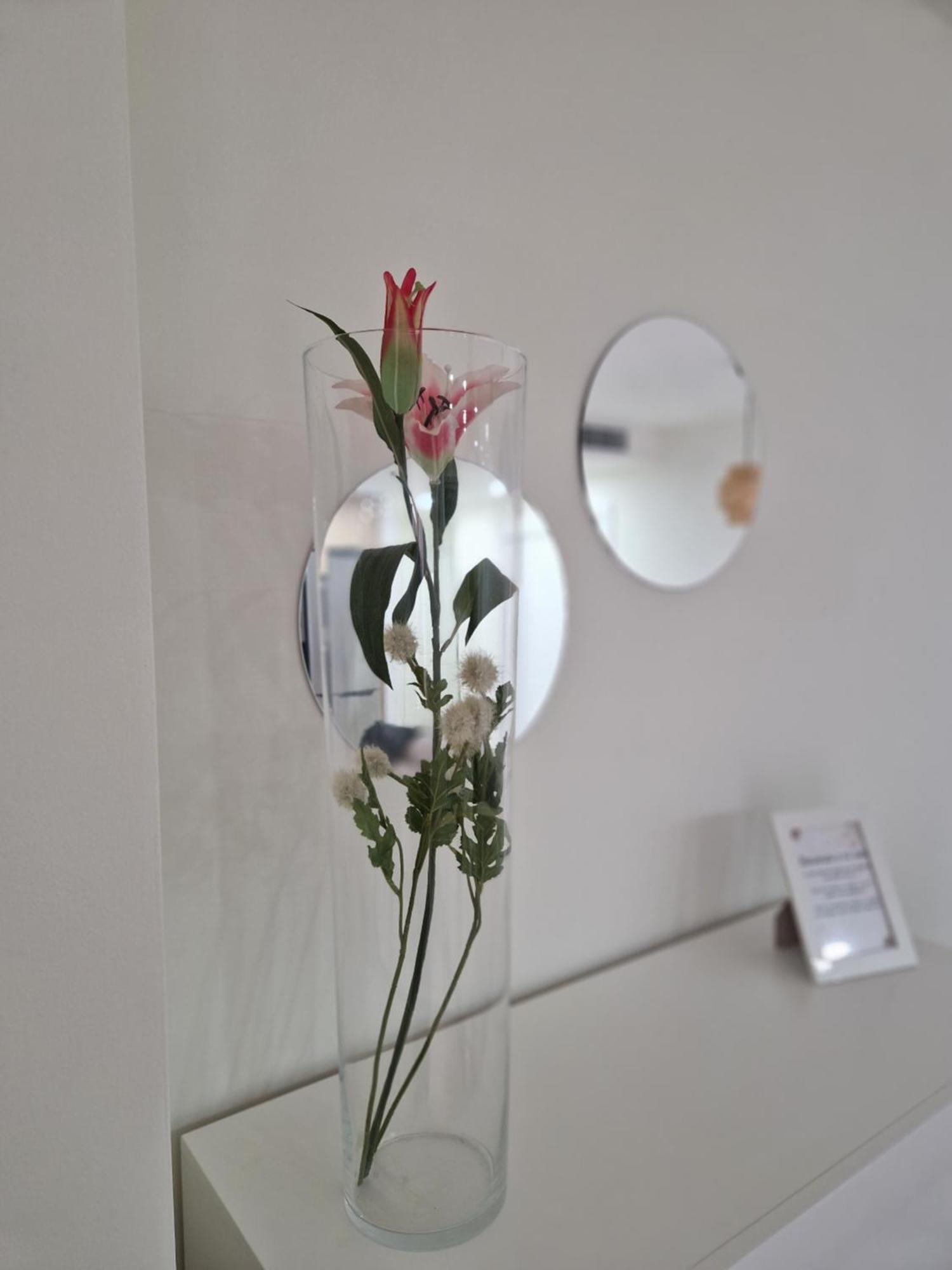 Apartamento V27 바에자 외부 사진
